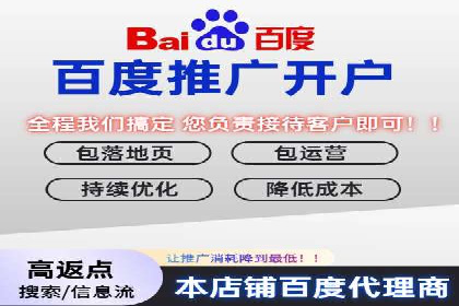 百度推广案例：关键词优化与品牌推广